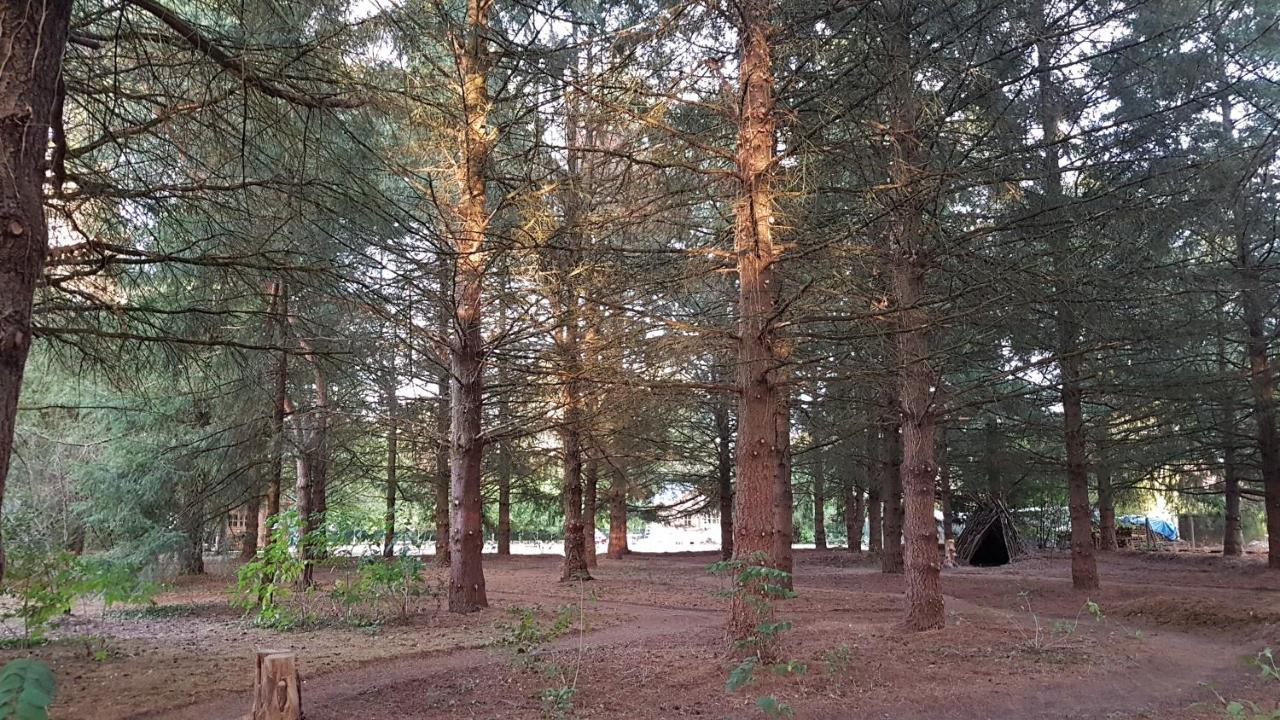 Le Clos des Écureuils Vouzon Exterior foto