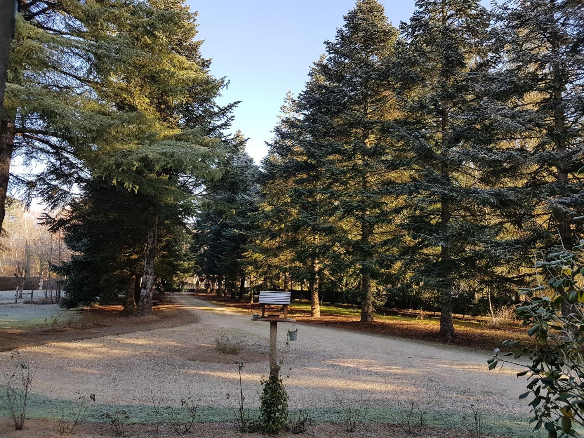 Le Clos des Écureuils Vouzon Exterior foto