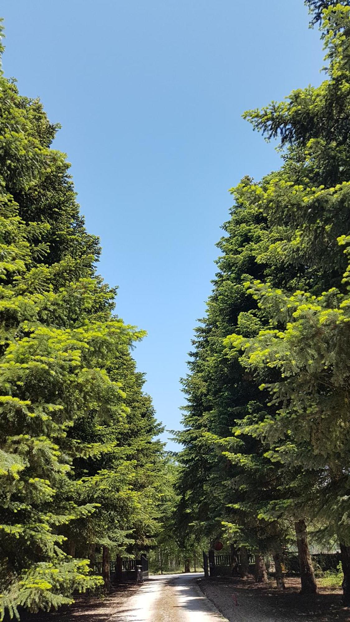 Le Clos des Écureuils Vouzon Exterior foto